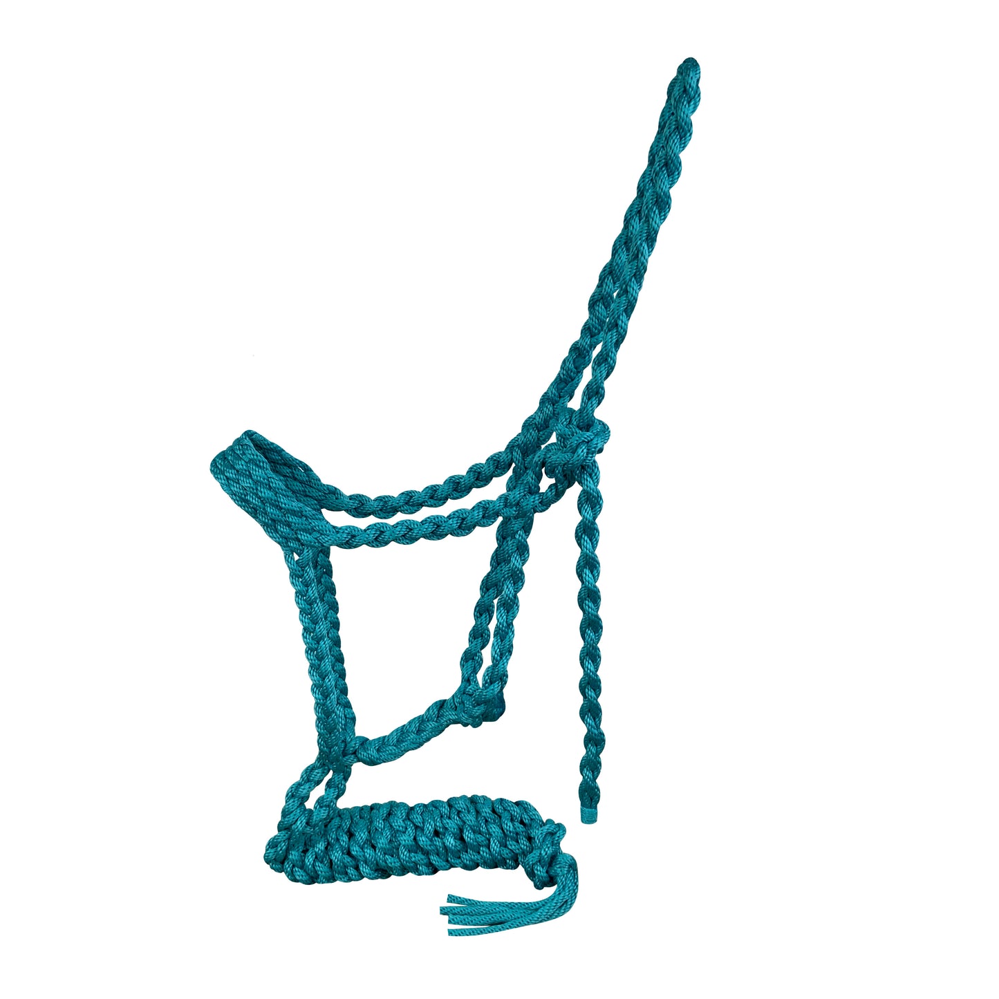 Showman Braided Nylon Muletape Halter 722739