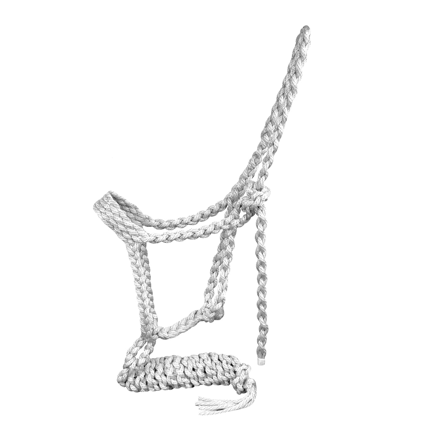 Showman Braided Nylon Muletape Halter 722739