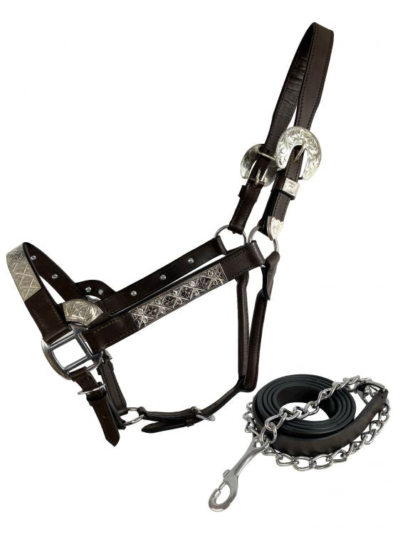 Dark Oil Average Horse size leather double stitched silver bar show halter with matching lead AS602