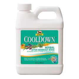 CoolDown Herbal After-Workout Rinse Absorbine