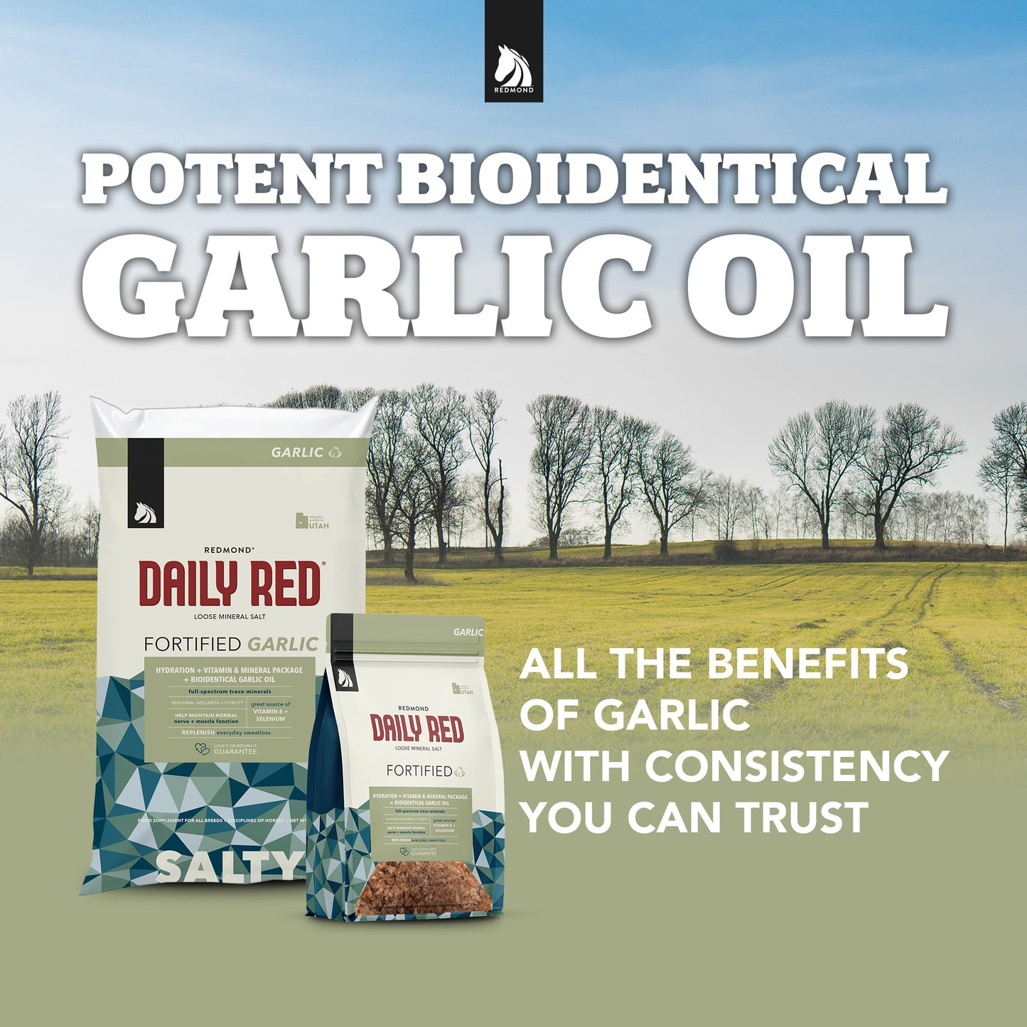 Daily Red® Fortified Garlic - Horse Vitamin & Mineral Supplement
