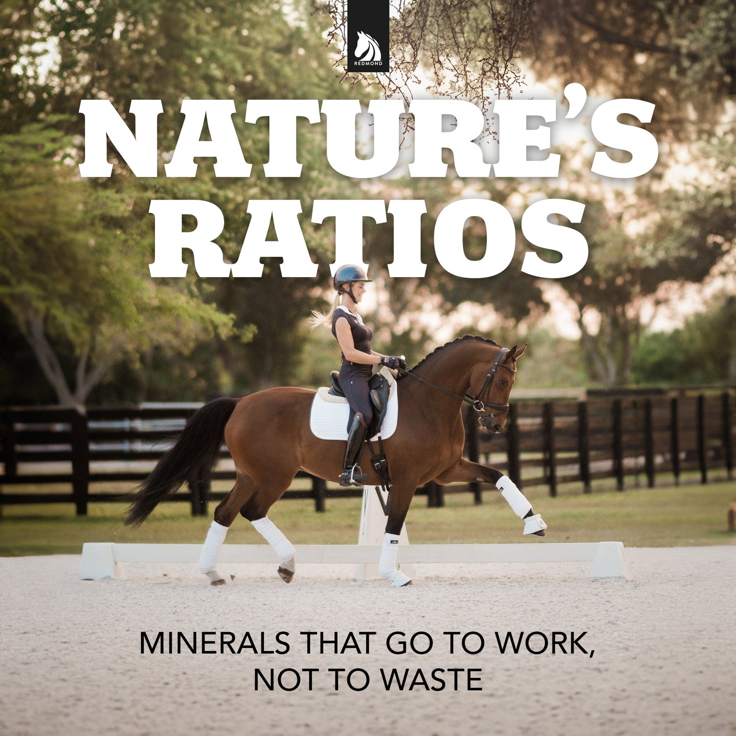 Daily Red® Fortified - Vitamin & Mineral Supplement For Horses