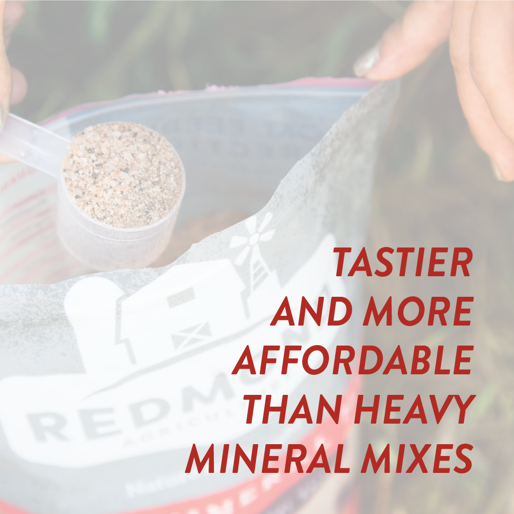 Goat Mineral