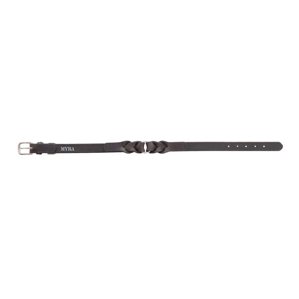 Leather Topside Dog Collar in Ebony-Dk Br