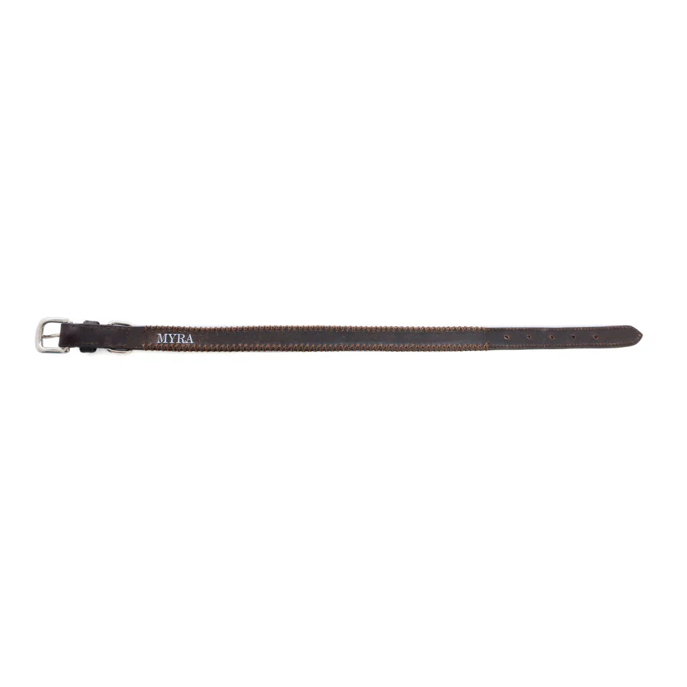 Rio Correr Dog Collar In Chocolate