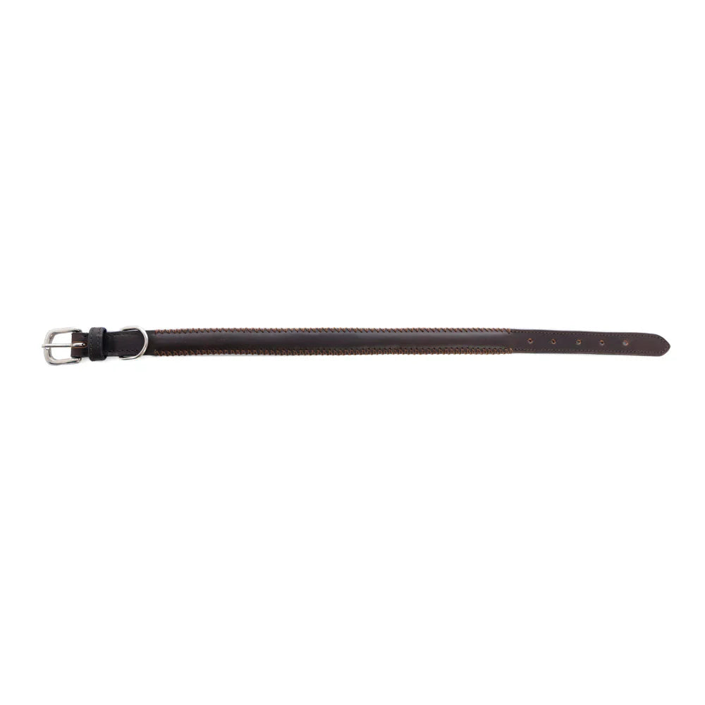 Rio Correr Dog Collar In Chocolate