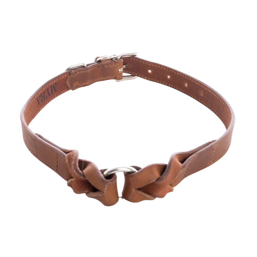 Leather Topside Dog Collar in Brown