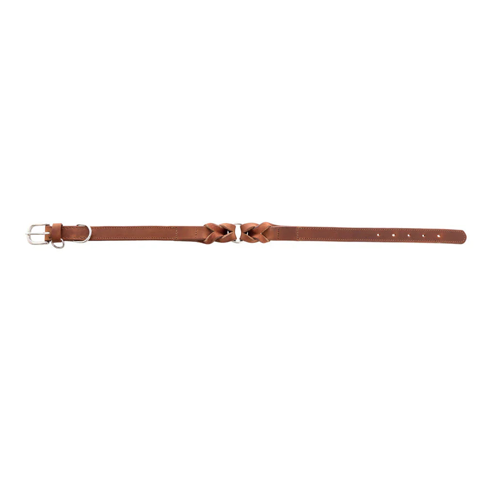 Leather Topside Dog Collar in Brown