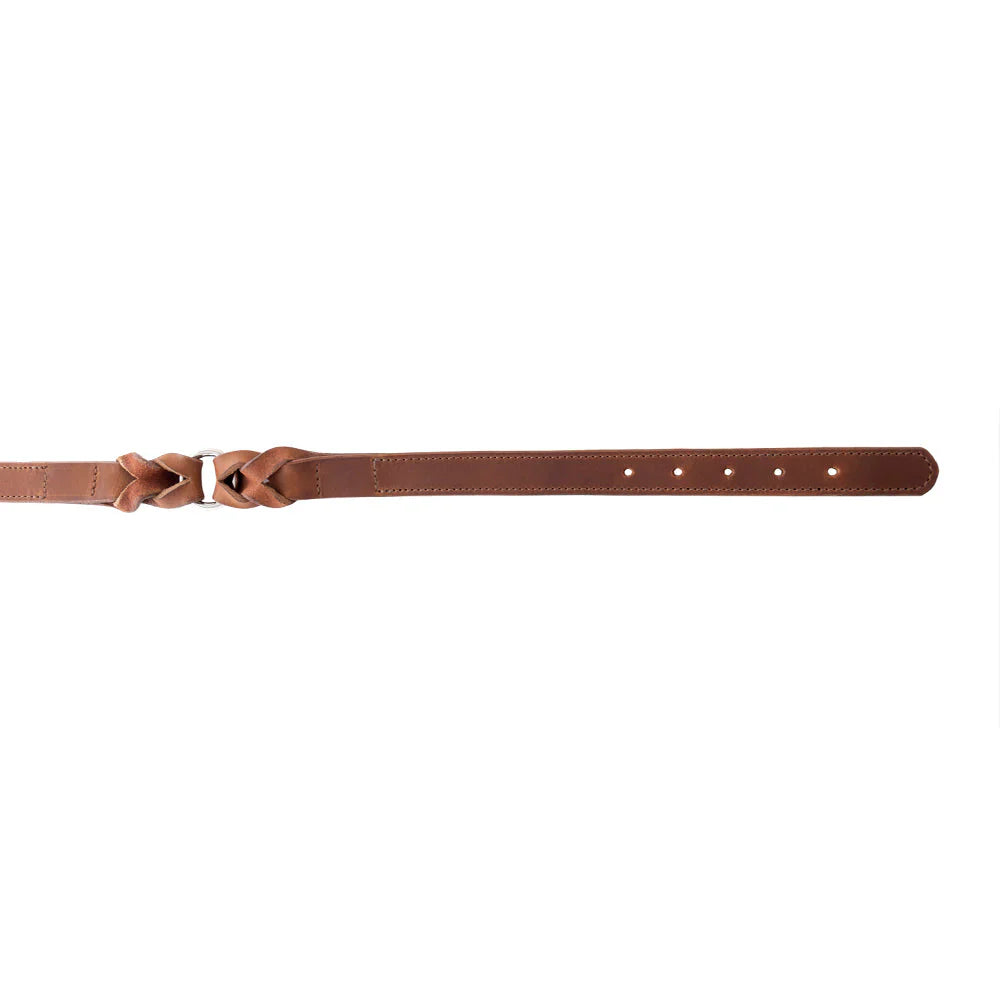Leather Topside Dog Collar in Brown