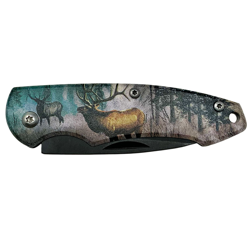 Forest King Drop Point Stainless Steel Folding Knife KN-1886D