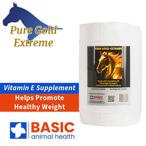 Pure Gold Extreme for Horses