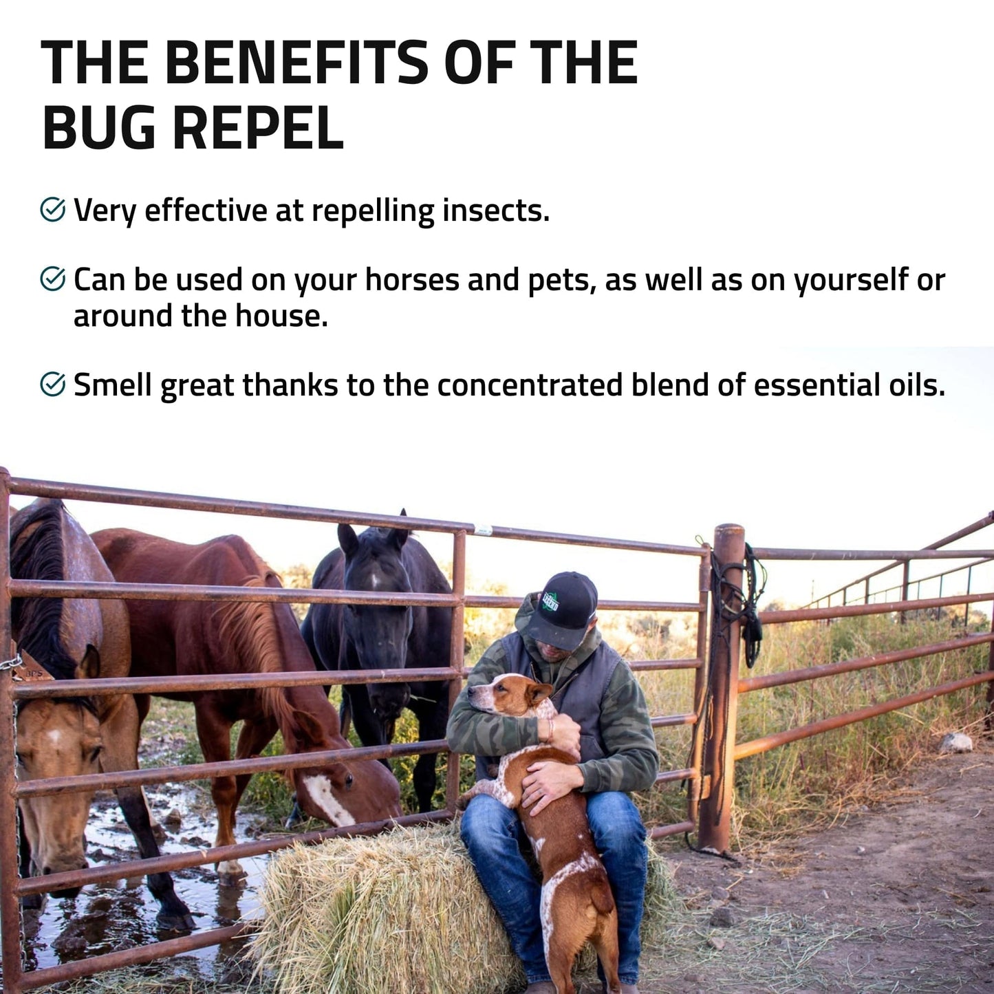 Bug Repel