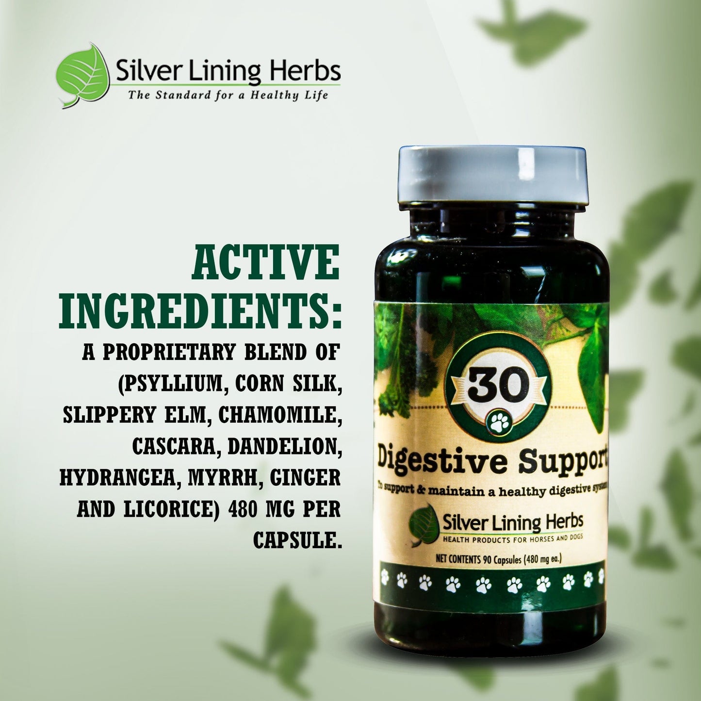 Digestive Support for Canines