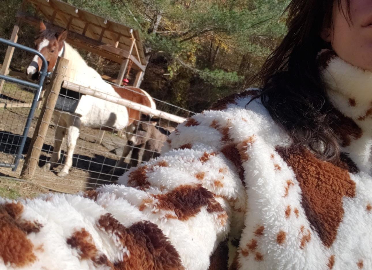 Cowhide Sweatshirt, COW Print Pullover