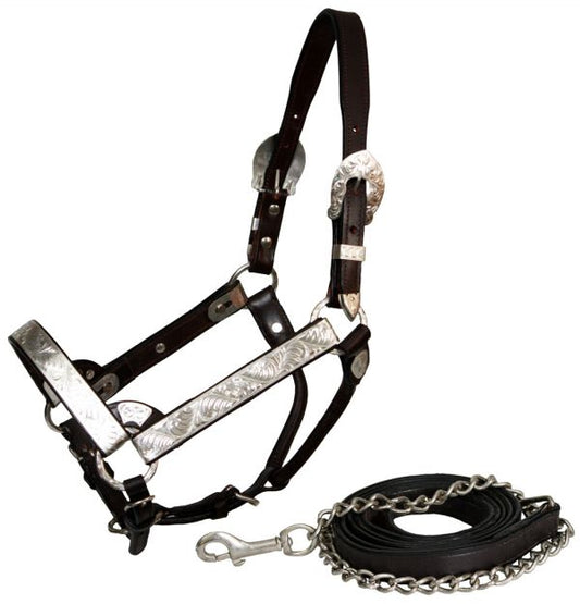 Showman horse size silver engraved show halter with matching lead 101
