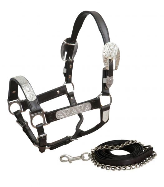 Showman Yearling/Small Horse Dark leather show halter with lead 161124