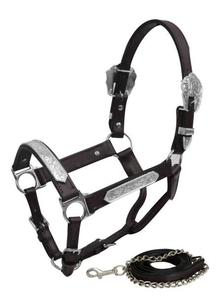 Showman Yearling Size double stitched leather show halter with engraved silver plates 161137