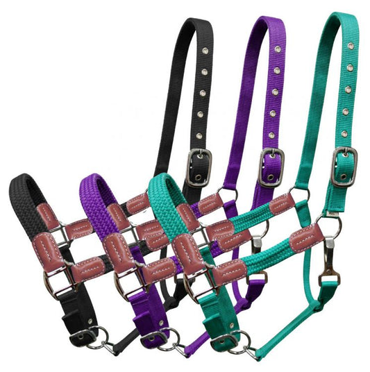 Showman Nylon halter with leather accents 16715