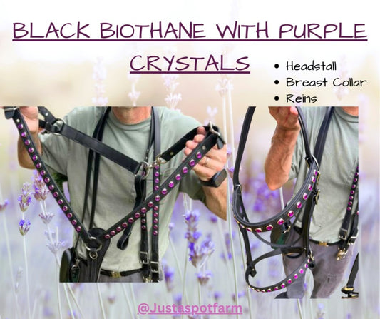 Biothane Tack Set - Endurance