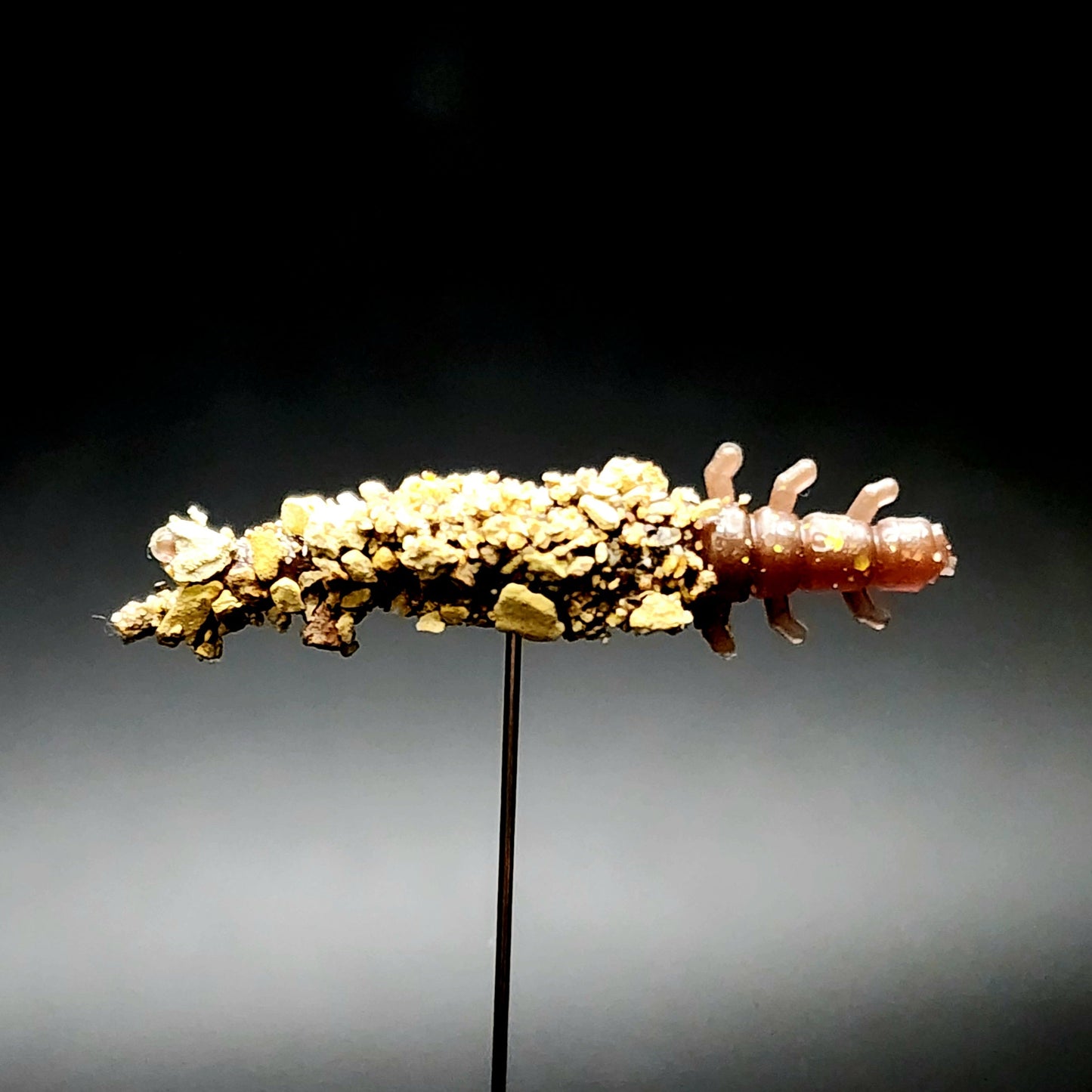 Jar of 1.3" Caddis Fly Larvae "Stream Weaver"