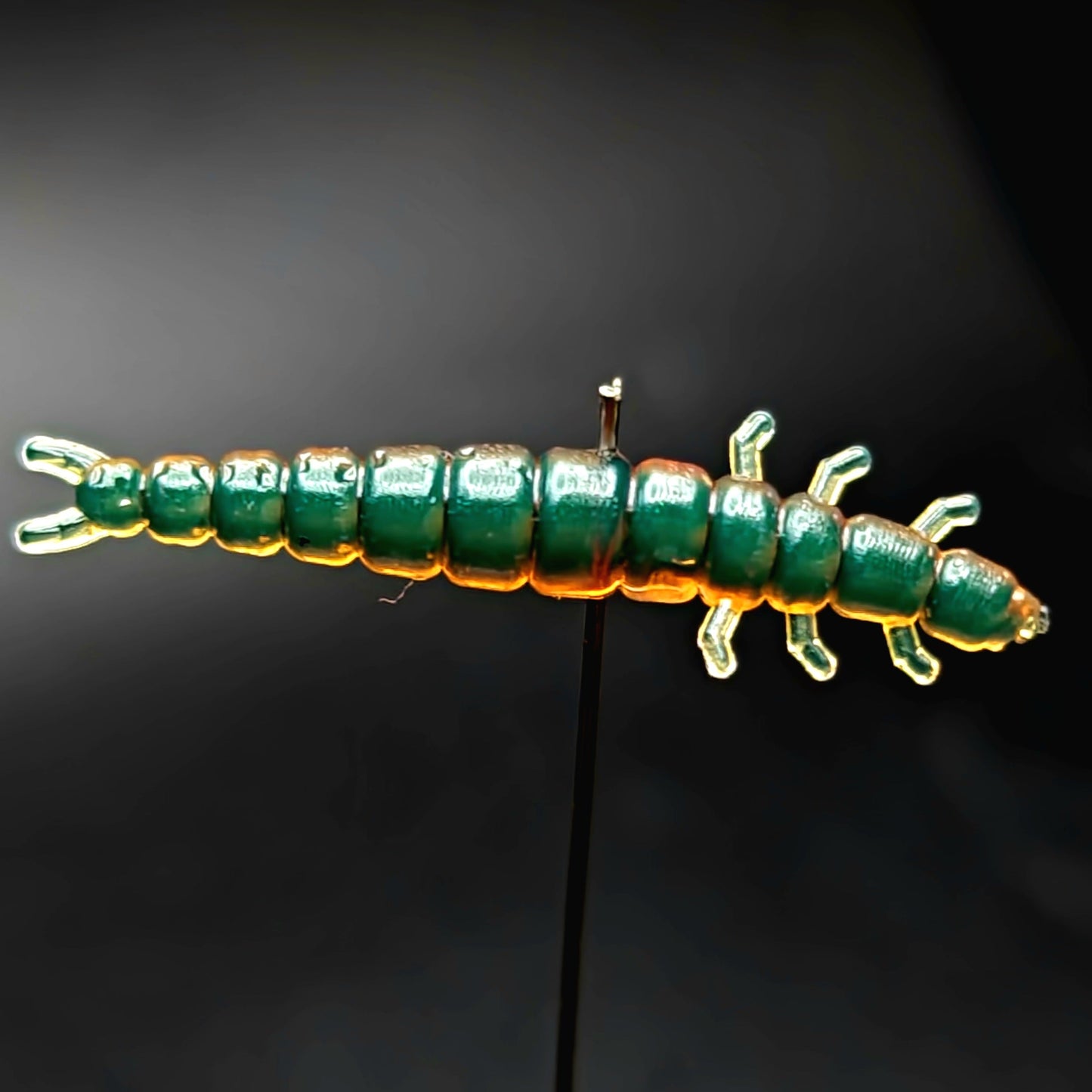 Jar of 1.3" Caddis Fly Larvae "Stream Weaver"
