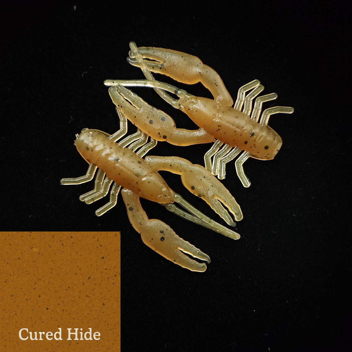 Jar of 1" Inch Micro Crayfish "The Creek Crawler"
