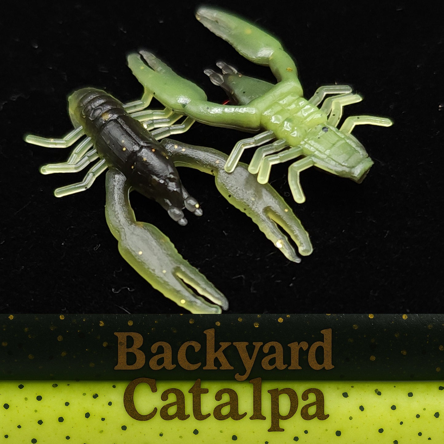 Jar of 1" Inch Micro Crayfish "The Creek Crawler"
