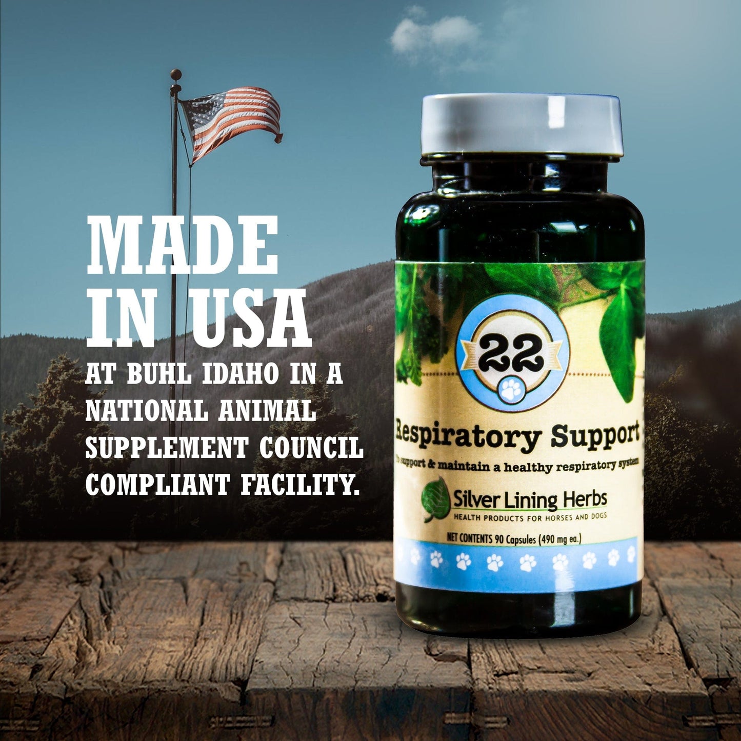 22 Respiratory Support for Canines