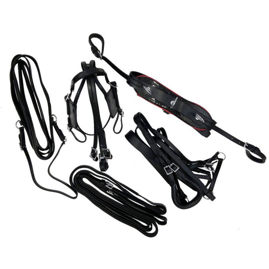 Mini Horse / Small Pony leather driving harness 3131