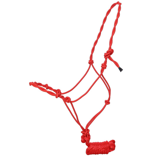 Draft Size Twisted Cowboy Knot Halter with 10 Ft. Lead 4580