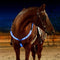 Dual LED Horse Harness Horse Breast Collar Nylon Webbing Night Visible