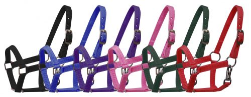 Pony Size Nylon halter with nickel plated hardware and throat latch 5946P
