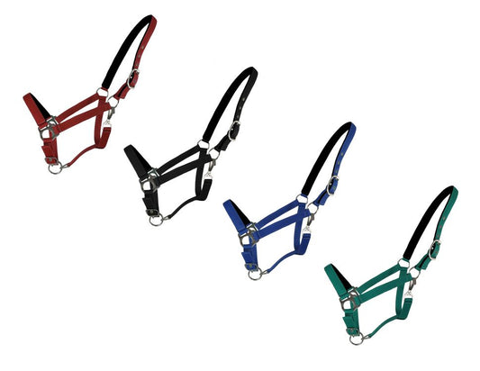 Horse Size Neoprene lined Nose and Crown Halter 636