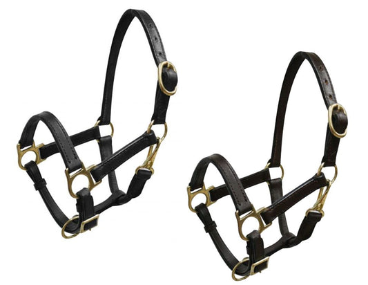 Mini size leather halter with brass hardware 6620M