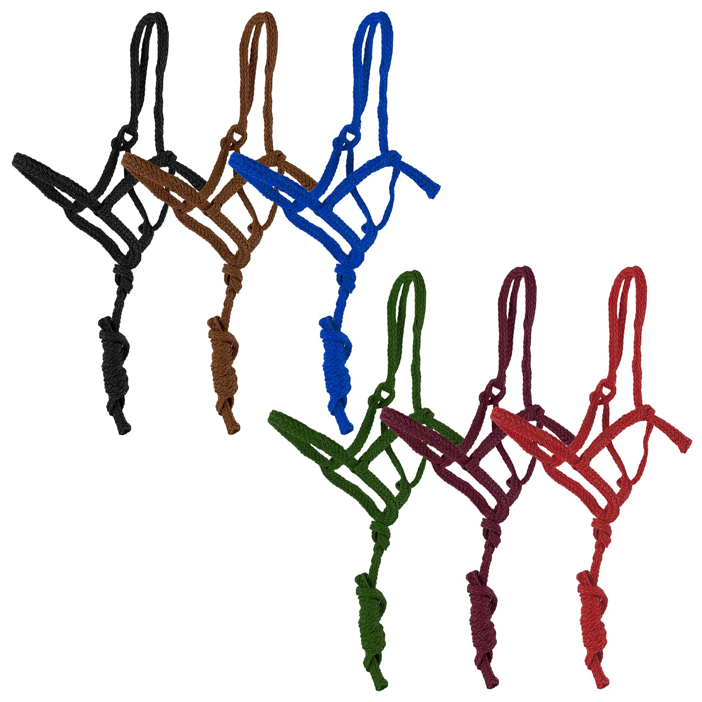 Showman Shipping Halter with 6 Ft Lead - 6800X