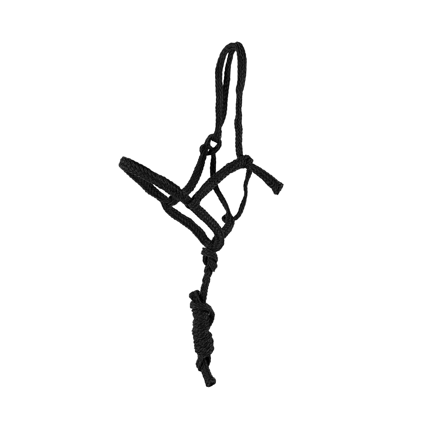 Showman Shipping Halter with 6 Ft Lead - 6800X
