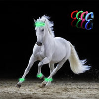 4pcs Equestrian Supply LED Luminous Horse Leg Straps