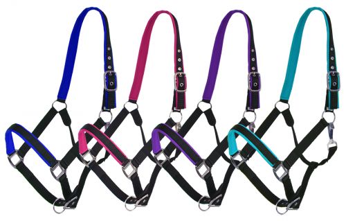 Showman Full Size Neoprene Lined Halter 74094