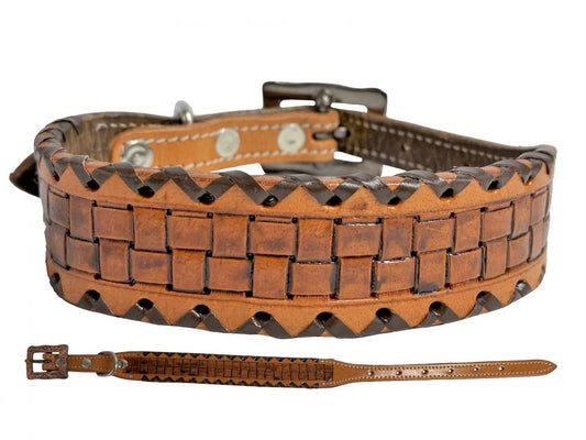 Showman Couture Basket Weave leather dog collar DC-49