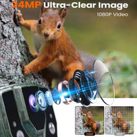 Hunting Camera 1080P 24MP Wild Trail Game Cam Infrared Night Vision Outdoor Motion Activated Trigger Scouting Photo Traps