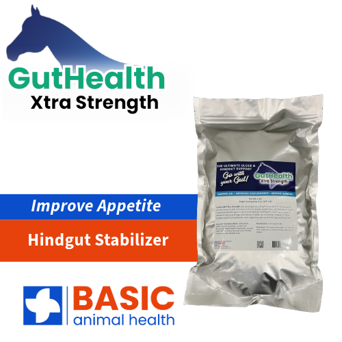 GutHealth Xtra Strength Pellets Supplement for Horses