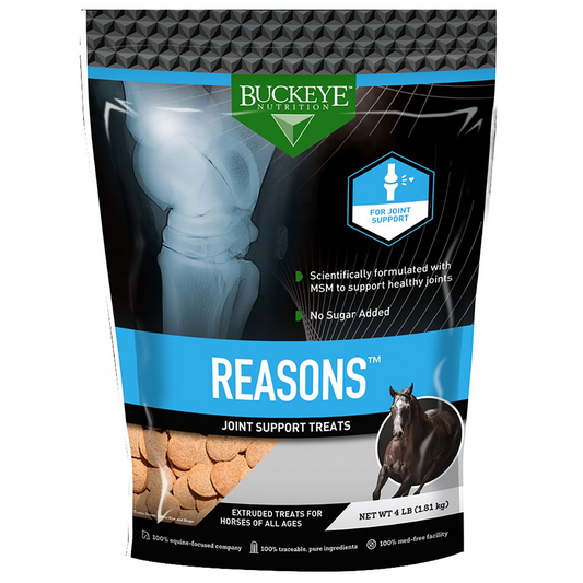 Buckeye Nutrition Reasons Horse Treats