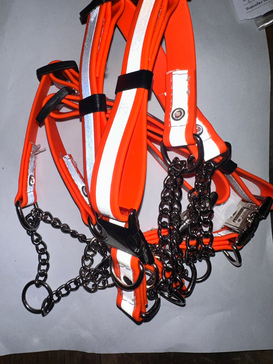Biothane Dog Martingale Collar With 6' Leash - Reflective