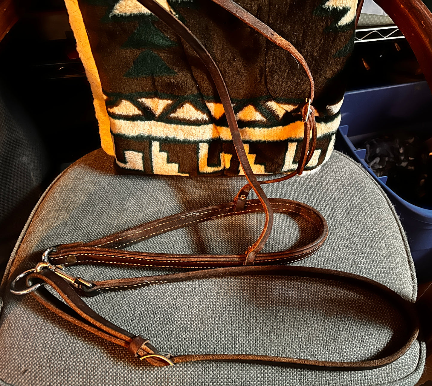 Leather Tie Down Headstall with Leather Tie Down Strap