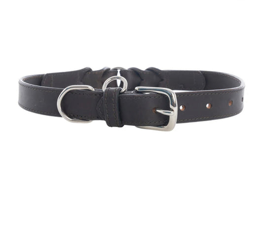 Leather Topside Dog Collar in Ebony-Dk Br