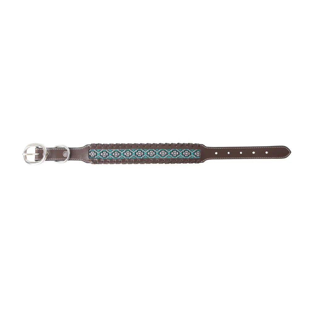 Freedom Trail Dog Collar