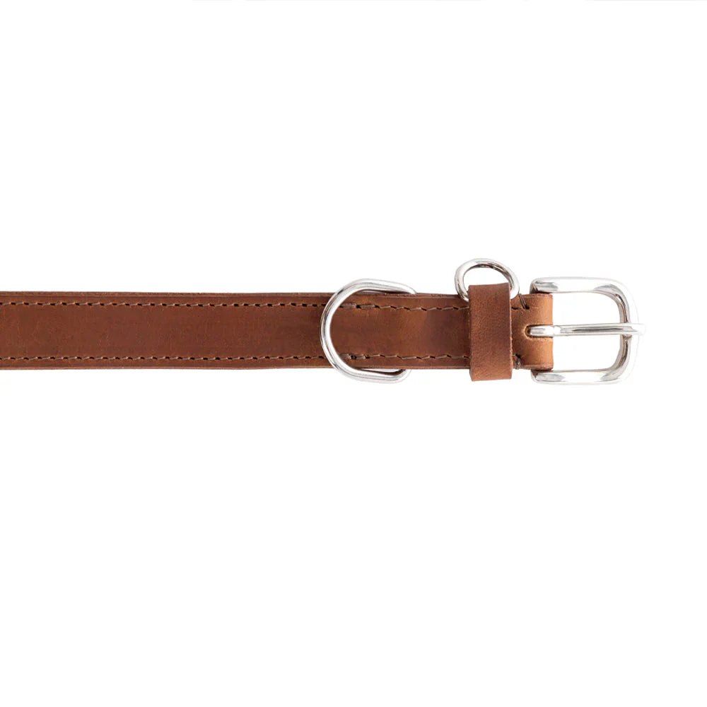 Leather Topside Dog Collar in Brown