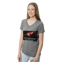 Women's Tri-Blend V-Neck T-Shirt