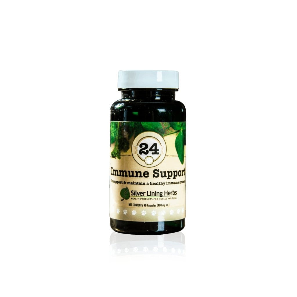 Immune Support for Canines